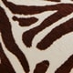 Zebra Haircalf